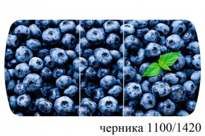 БОСТОН - 3 Стол раздвижной 1100/1420 опоры Триумф в Невьянске - nevyansk.ok-mebel.com | фото 51