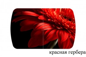БОСТОН опоры Триумф в Невьянске - nevyansk.ok-mebel.com | фото 27