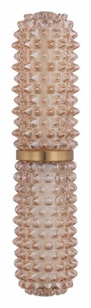 Бра ST-Luce SAGUARO SL6144.301.01 в Невьянске - nevyansk.ok-mebel.com | фото 4