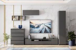 ДЕНВЕР Тумба для ТВА (Графит серый) в Невьянске - nevyansk.ok-mebel.com | фото 4