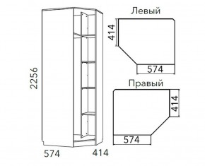 Детская Фанк Шкаф угловой Левый/Правый НМ 013.04-02 М в Невьянске - nevyansk.ok-mebel.com | фото 3