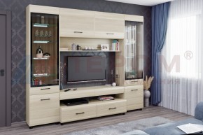 Гостиная Камелия Композиция 11 (Ясень Асахи) в Невьянске - nevyansk.ok-mebel.com | фото