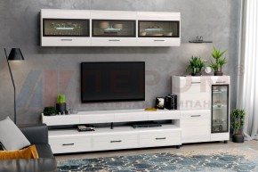 Гостиная Камелия Композиция 12 (Снежный ясень) в Невьянске - nevyansk.ok-mebel.com | фото