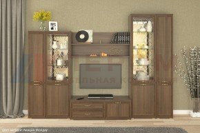 Гостиная Карина Композиция 24 (Акация Молдау) в Невьянске - nevyansk.ok-mebel.com | фото