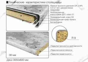 Кухонный фартук со столешницей (А-01) в едином стиле (3050 мм) в Невьянске - nevyansk.ok-mebel.com | фото 6