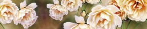 Кухонный фартук Цветы 066 МДФ матовый (3000) Flowers в Невьянске - nevyansk.ok-mebel.com | фото 1
