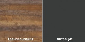 Кухонный гарнитур угловой Трансильвания 2400x1600 мм (Стол. 38 мм) в Невьянске - nevyansk.ok-mebel.com | фото 3