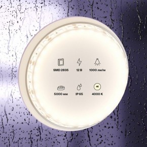 Лента светодиодная Maytoni Led strip 10112 в Невьянске - nevyansk.ok-mebel.com | фото 2