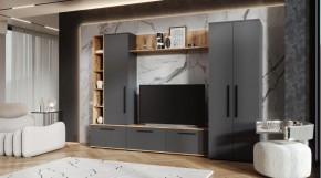 ЛЕВАНТЕ Гостиная в Невьянске - nevyansk.ok-mebel.com | фото