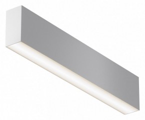 Накладной светильник Maytoni Basis C068CL-20W3-6K-W в Невьянске - nevyansk.ok-mebel.com | фото