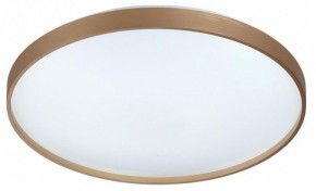 Накладной светильник Sonex Gaby 7783/EL в Невьянске - nevyansk.ok-mebel.com | фото 4