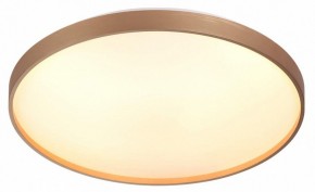 Накладной светильник Sonex Gaby 7783/EL в Невьянске - nevyansk.ok-mebel.com | фото 5
