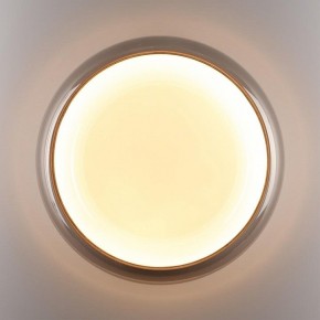 Накладной светильник Sonex PORTMAN 7777/DLN в Невьянске - nevyansk.ok-mebel.com | фото 6