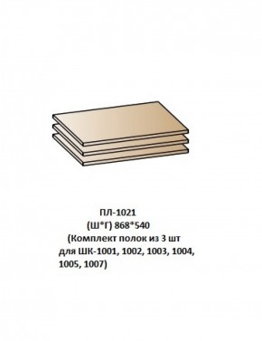 ПЛ-1021 (Комплект полок из 3 шт для ШК-1001, 1002, 1003, 1004, 1005, 1007) в Невьянске - nevyansk.ok-mebel.com | фото