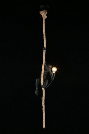 Подвесной светильник Aployt Magali APL.309.16.01 в Невьянске - nevyansk.ok-mebel.com | фото 3