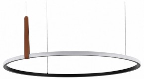 Подвесной светильник ST-Luce Shape SL6131.403.42 в Невьянске - nevyansk.ok-mebel.com | фото 2