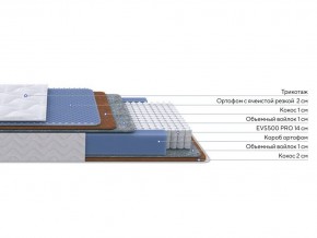 PROxSON Матрас Active Duo M/F (Ткань Трикотаж Эко) 160x200 в Невьянске - nevyansk.ok-mebel.com | фото 2