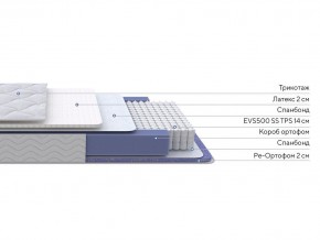 PROxSON Матрас Active Duo S/F (Ткань Трикотаж Эко) 160x195 в Невьянске - nevyansk.ok-mebel.com | фото