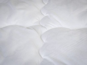 PROxSON Одеяло классическое PROSON (Стеганное полотно) 172x200 в Невьянске - nevyansk.ok-mebel.com | фото 4