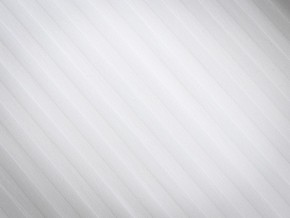 PROxSON Подушка Terra Ergo (Страйп сатин) 40x60 в Невьянске - nevyansk.ok-mebel.com | фото 8