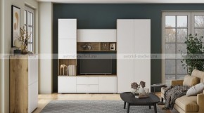 МИЛАН-1 Секция ТВ (ЦРК.МЛН.01 секция ТВ) в Невьянске - nevyansk.ok-mebel.com | фото 3