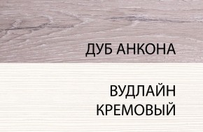 Шкаф 1DG, OLIVIA, цвет вудлайн крем/дуб анкона в Невьянске - nevyansk.ok-mebel.com | фото 3