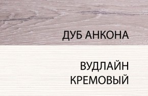 Шкаф 1DZ, OLIVIA, цвет вудлайн крем/дуб анкона в Невьянске - nevyansk.ok-mebel.com | фото 3