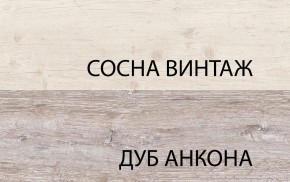 Шкаф 2D1S, MONAKO, цвет Сосна винтаж/дуб анкона в Невьянске - nevyansk.ok-mebel.com | фото 1