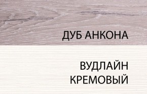 Шкаф 2DG, OLIVIA, цвет вудлайн крем/дуб анкона в Невьянске - nevyansk.ok-mebel.com | фото 3