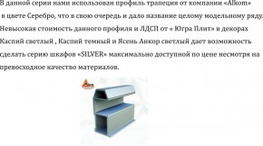 Шкаф-купе 1300 серии SILVER S5+S5+B2+PL3 (2 ящика+2 штанги) профиль «Серебро» в Невьянске - nevyansk.ok-mebel.com | фото 4