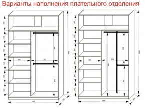 Шкаф-купе 1400 серии SOFT D8+D2+B2+PL4 (2 ящика+F обр.штанга) профиль «Графит» в Невьянске - nevyansk.ok-mebel.com | фото 7