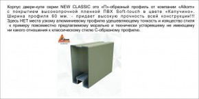 Шкаф-купе 1500 серии NEW CLASSIC K3+K3+B2+PL1 (2 ящика+1 штанга) профиль «Капучино» в Невьянске - nevyansk.ok-mebel.com | фото 17