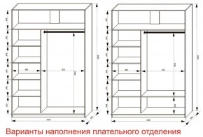 Шкаф-купе 1600 серии SOFT D6+D4+B2+PL2 (2 ящика+1штанга+1 полка) профиль «Капучино» в Невьянске - nevyansk.ok-mebel.com | фото 8