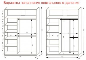 Шкаф-купе 1600 серии SOFT D6+D4+B2+PL2 (2 ящика+1штанга+1 полка) профиль «Капучино» в Невьянске - nevyansk.ok-mebel.com | фото 9