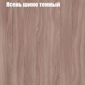 Шкаф-купе «ТАНДЕМ» 2-х дверный в алюминиевом профиле (Дверь К+К) 1200/h2200 в Невьянске - nevyansk.ok-mebel.com | фото 7
