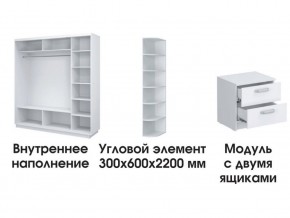 Шкаф-купе «ТАНДЕМ» 3-х дверный в белом профиле (Дверь ЛДСП+Z+Z) 2100/h2200 в Невьянске - nevyansk.ok-mebel.com | фото 3