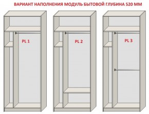 Шкаф распашной серия «ЗЕВС» (PL3/С1/PL2) Серый камень/Небраска натуральный в Невьянске - nevyansk.ok-mebel.com | фото 5