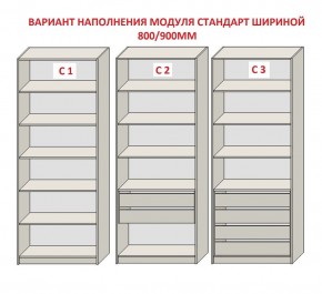 Шкаф распашной серия «ЗЕВС» (PL3/С1/PL2) Серый камень/Небраска натуральный в Невьянске - nevyansk.ok-mebel.com | фото 6