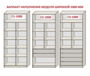 Шкаф распашной серия «ЗЕВС» (PL3/С1/PL2) Серый камень/Небраска натуральный в Невьянске - nevyansk.ok-mebel.com | фото 7