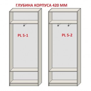 Шкаф распашной серия «ЗЕВС» (PL3/С1/PL2) Серый камень/Небраска натуральный в Невьянске - nevyansk.ok-mebel.com | фото 8