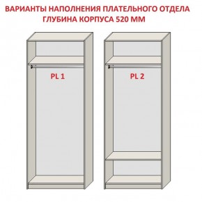 Шкаф распашной серия «ЗЕВС» (PL3/С1/PL2) Серый камень/Небраска натуральный в Невьянске - nevyansk.ok-mebel.com | фото 9