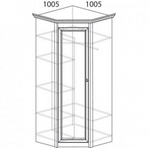 Шкаф угловой №662 "Флоренция" Фасад глухой (угол 1005*1005) Дуб оксфорд в Невьянске - nevyansk.ok-mebel.com | фото 3