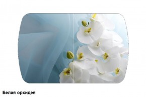 Стол Бостон 2 (1100*700) опоры Брифинг (Стекло/фотопечать Белая орхидея) в Невьянске - nevyansk.ok-mebel.com | фото
