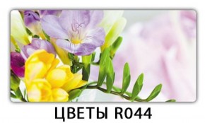 Стол раздвижной Бриз лайм R156 Доска D110 в Невьянске - nevyansk.ok-mebel.com | фото 16