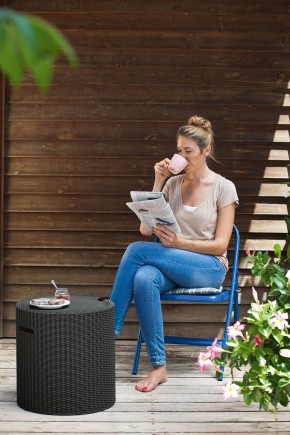 Столик-холодильник Кул-Стул (Cool stool) графит в Невьянске - nevyansk.ok-mebel.com | фото