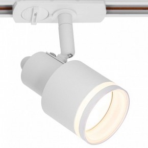 Светильник на штанге Citilux Bruno CL565T10 в Невьянске - nevyansk.ok-mebel.com | фото 2