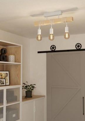 Светильник на штанге Eglo TOWNSHEND 44082 в Невьянске - nevyansk.ok-mebel.com | фото 2