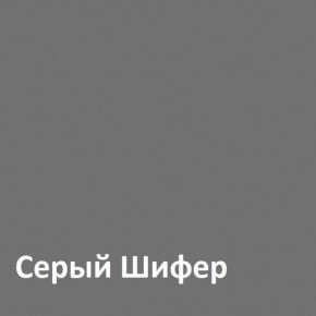 Юнона Шкаф торцевой 13.221 в Невьянске - nevyansk.ok-mebel.com | фото 2